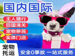 洛阳北郊机场快递国际宠物托运 【国